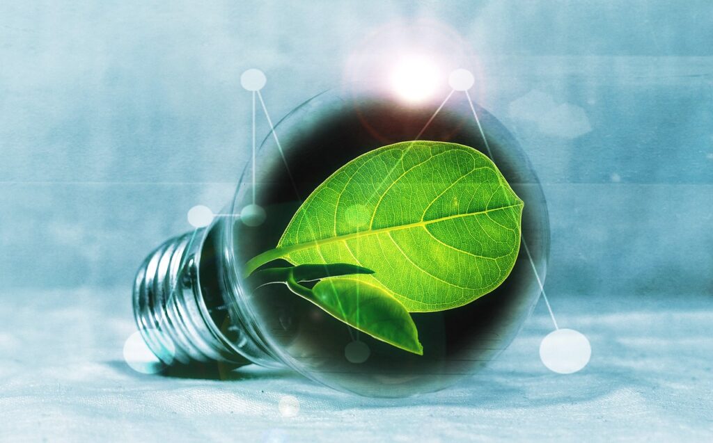 How Energy Saving Can Boost Your Profits and the Planet!